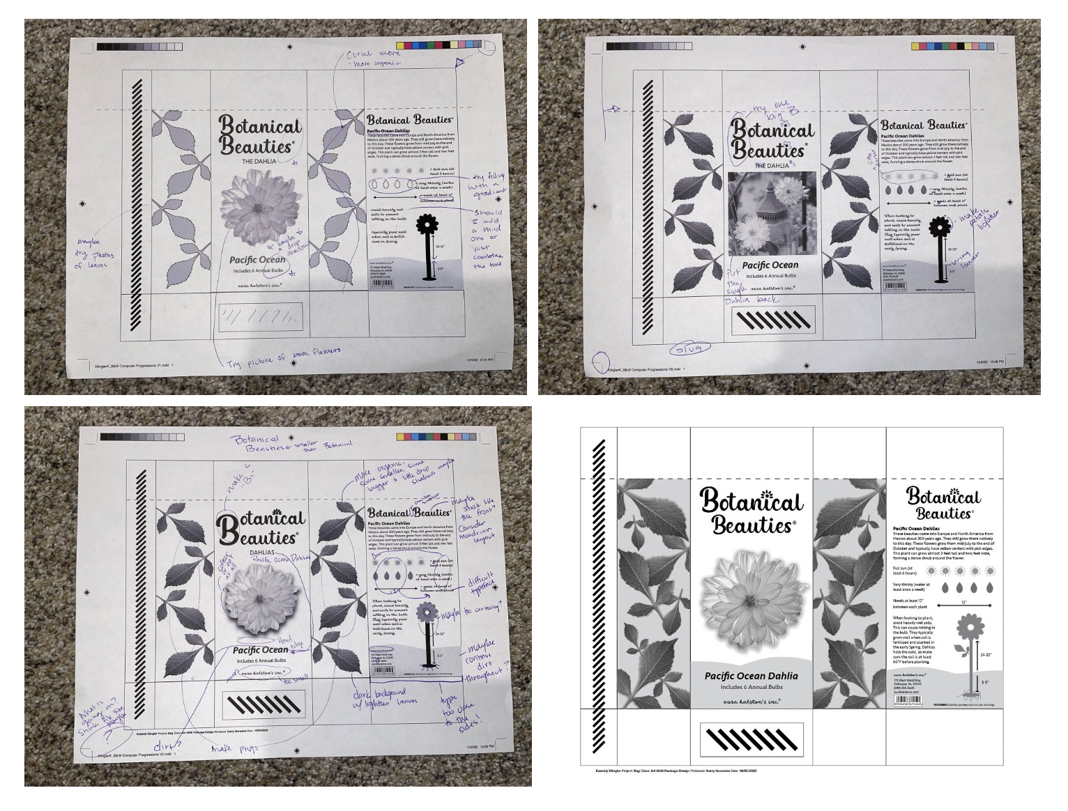 bag b and w progressions